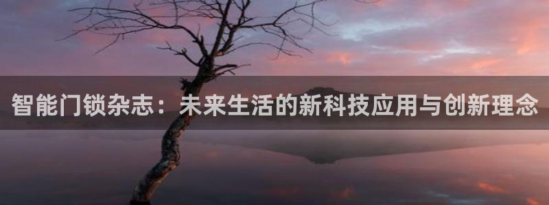 金年会提款慢：智能门锁杂志：未来生活的新科技应用与创新理念