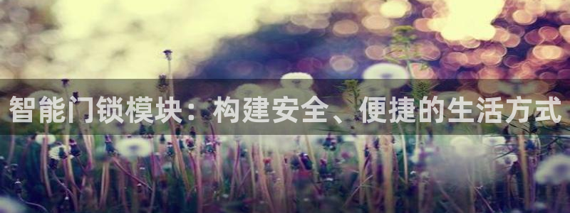 金年会平台出款：智能门锁模块：构建安全、便捷的生活方式