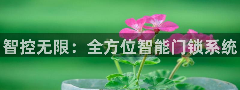 体育金年会：智控无限：全方位智能门锁系统