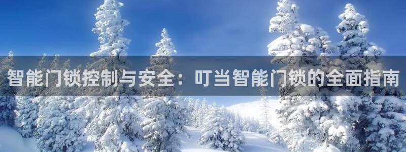 金年会官方：智能门锁控制与安全：叮当智能门锁的全面指南