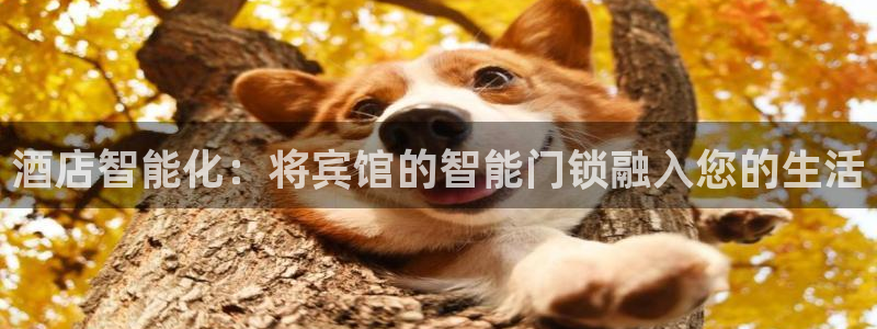 金年会游戏：酒店智能化：将宾馆的智能门锁融入您的生活