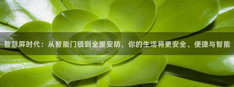 金年会最新下载：智慧屏时代：从智能门锁到全屋安防，你的生活将