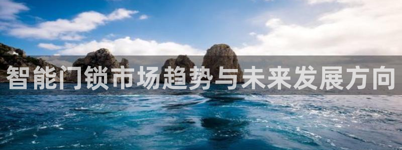 金年会体育在线入口：智能门锁市场趋势与未来发展方向