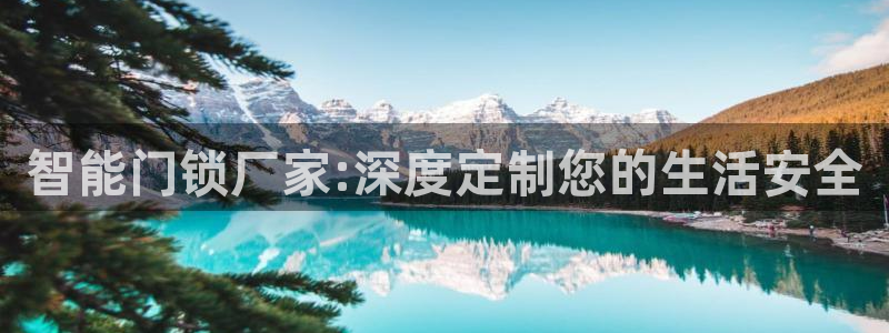 金进年会：智能门锁厂家:深度定制您的生活安全