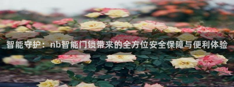 今年会金年会：智能守护：nb智能门锁带来的全方位安全保障与便