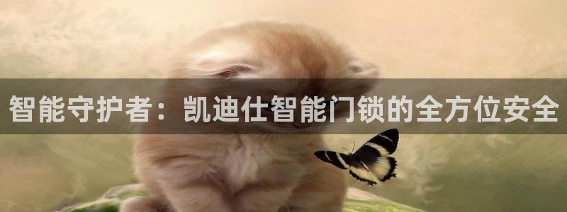 jinnian金年会