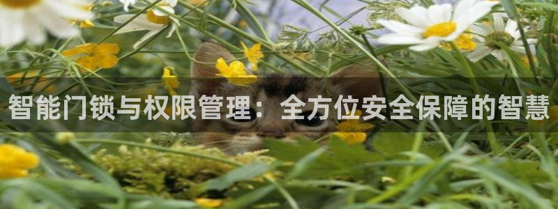 jinnianhui 金年会：智能门锁与权限管理：全方位安全
