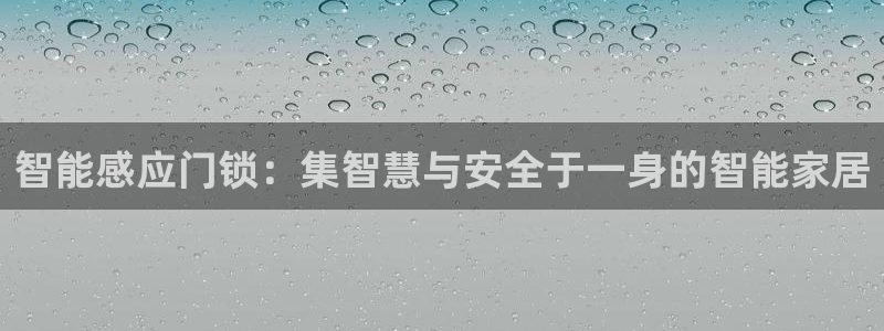 金年会APP安装下载：智能感应门锁：集智慧与安全于一身的智能