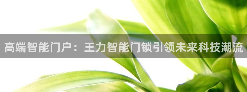 金年会登录入口：高端智能门户：王力智能门锁引领未来科技潮流