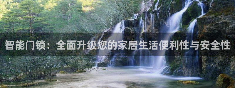 金年会国际