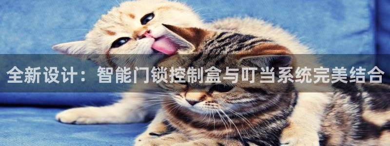 陆金所 年会：全新设计：智能门锁控制盒与叮当系统完美结合